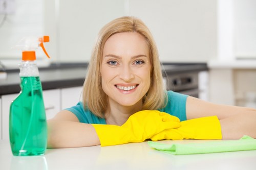 Residential window cleaning in Balham for bright and tidy homes