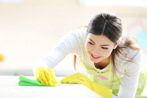 Kitchen and bathroom cleaning as part of domestic cleaning in Balham