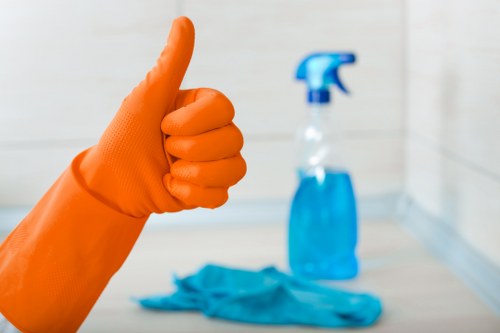 Local carpet cleaner working in a Balham apartment
