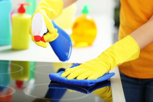 Local Balham home receiving a thorough deep clean