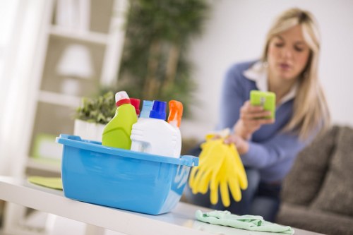 Deep cleaning equipment used by cleaners in Balham