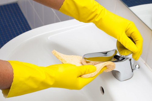 Risk assessment and safety checks before oven cleaning service